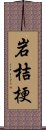 岩桔梗 Scroll