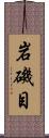 岩磯目 Scroll