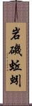 岩磯蚯蚓 Scroll