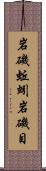岩磯蚯蚓 Scroll