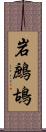 岩鷓鴣 Scroll