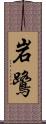 岩鷺 Scroll