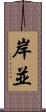 岸並 Scroll