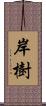 岸樹 Scroll