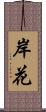 岸花 Scroll