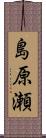 島原瀬 Scroll