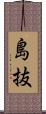 島抜 Scroll