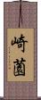 崎薗 Scroll