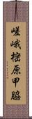 嵯峨樒原甲脇 Scroll