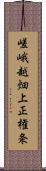 嵯峨越畑上正権条 Scroll