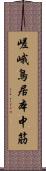 嵯峨鳥居本中筋 Scroll