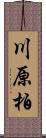 川原柏 Scroll