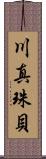 川真珠貝 Scroll