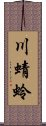 川蜻蛉 Scroll