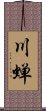 川蝉 Scroll