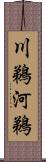 川鵜 Scroll