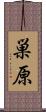 巣原 Scroll