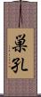 巣孔 Scroll