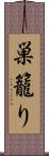 巣籠り Scroll