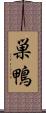 巣鴨 Scroll