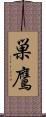 巣鷹 Scroll