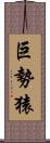 巨勢猿 Scroll