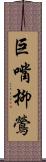 巨嘴柳鶯 Scroll