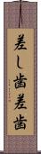 差し歯 Scroll