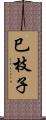 巳枝子 Scroll