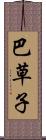 巴草子 Scroll