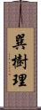 巽樹理 Scroll