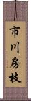 市川房枝 Scroll