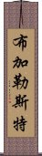 布加勒斯特 Scroll