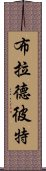 布拉德·彼特 Scroll