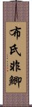 布氏非鯽 Scroll