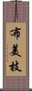 布美枝 Scroll