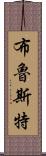 Brewster Scroll
