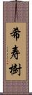 希寿樹 Scroll