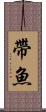 帶魚 Scroll