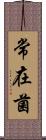 常在菌 Scroll