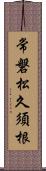 常磐松久須根 Scroll