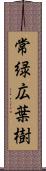常緑広葉樹 Scroll