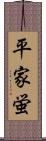 平家蛍 Scroll