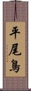 平尾鳥 Scroll