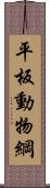 平板動物綱 Scroll