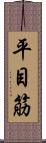 平目筋 Scroll