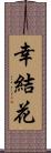 幸結花 Scroll