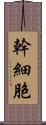 幹細胞 Scroll