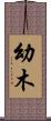 幼木 Scroll