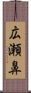 広瀬鼻 Scroll